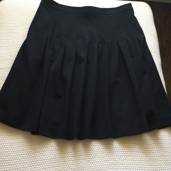 Gap Pleated Skirt - Fit and Flare - Picture 3 of 8